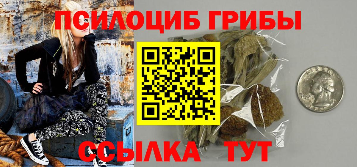 Галлюциногенные грибы мицелий  Вход с VPN  Унеча 
